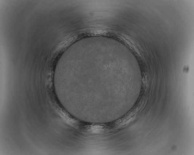 X0000096670462200802261456