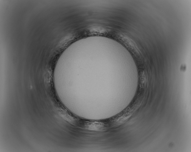 X0000096670463200802261456