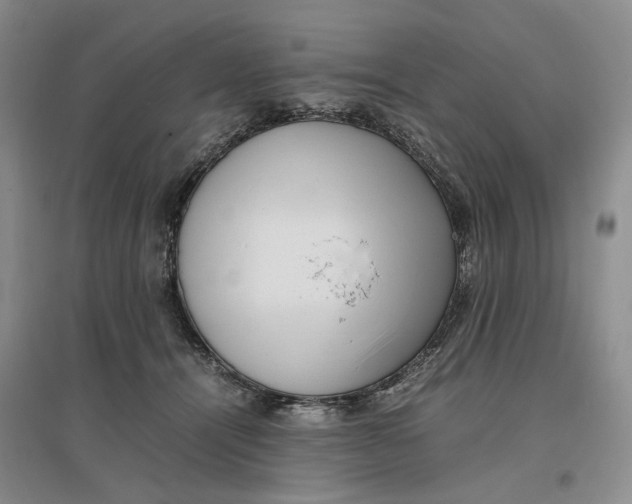 X0000096670464200802261456