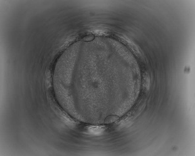 X0000096670465200802261456