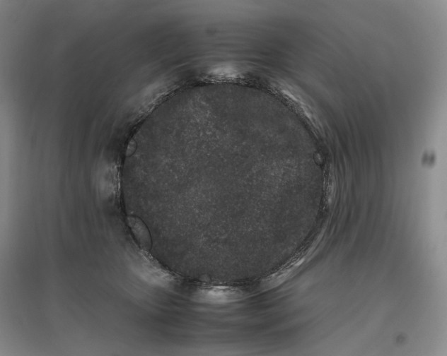 X0000096670467200802261456