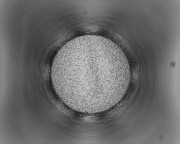 X0000096670468200802261456