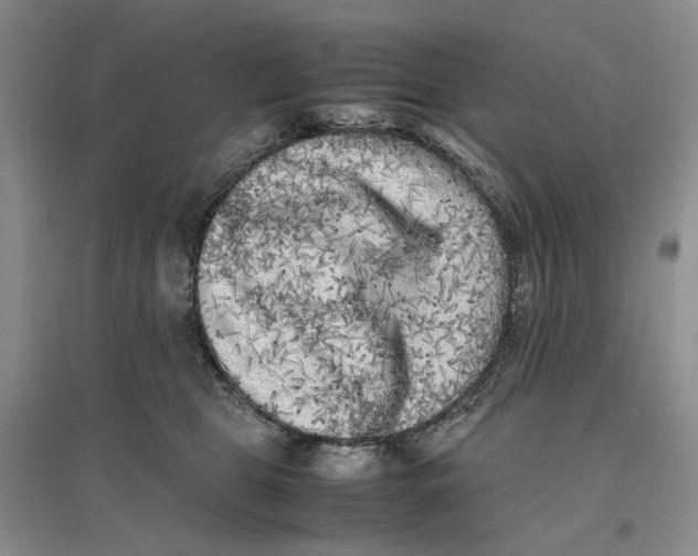 X0000096670469200802261456