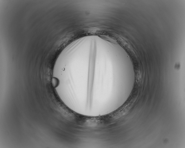 X0000096670470200802261456