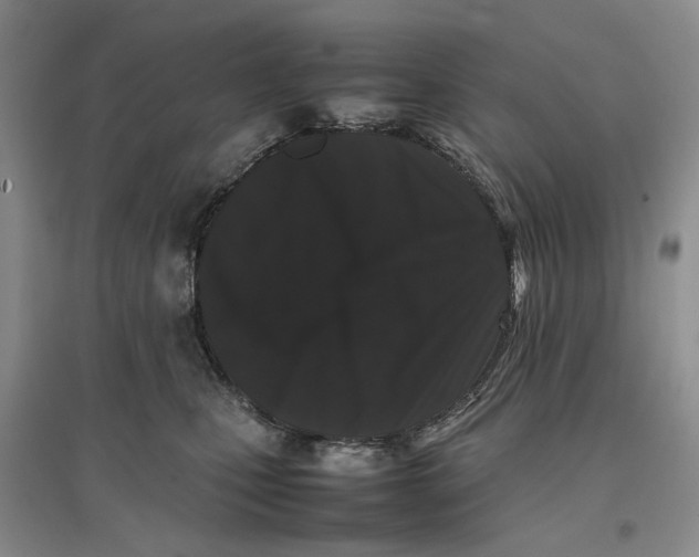 X0000096670471200802261456