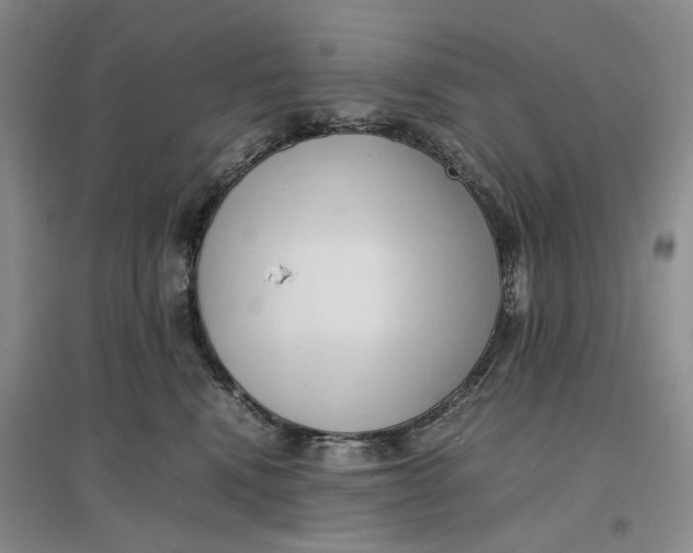 X0000096670472200802261456