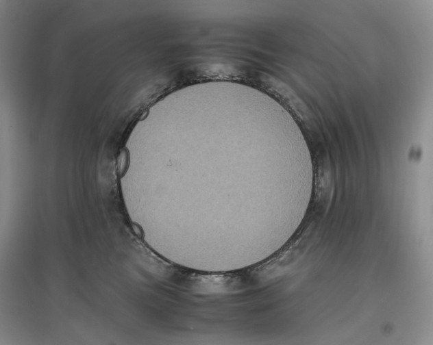 X0000096670473200802261456