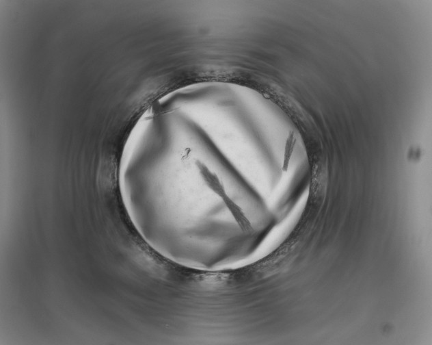 X0000096670474200802261456