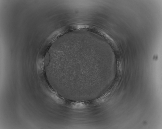 X0000096670475200802261457