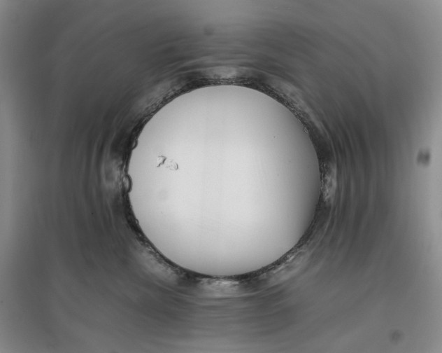 X0000096670476200802261457