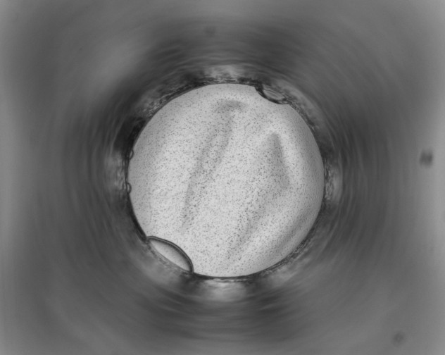 X0000096670477200802261457