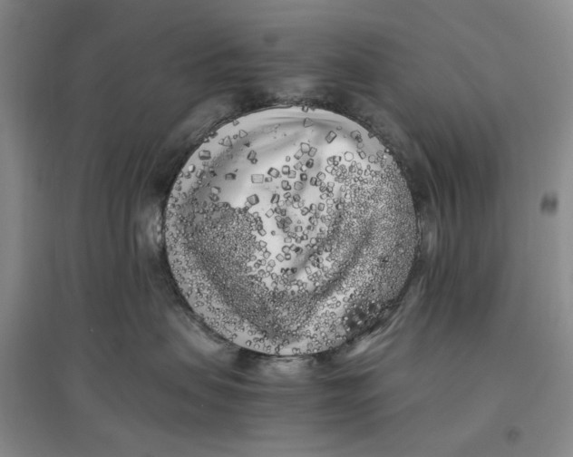 X0000096670479200802261457