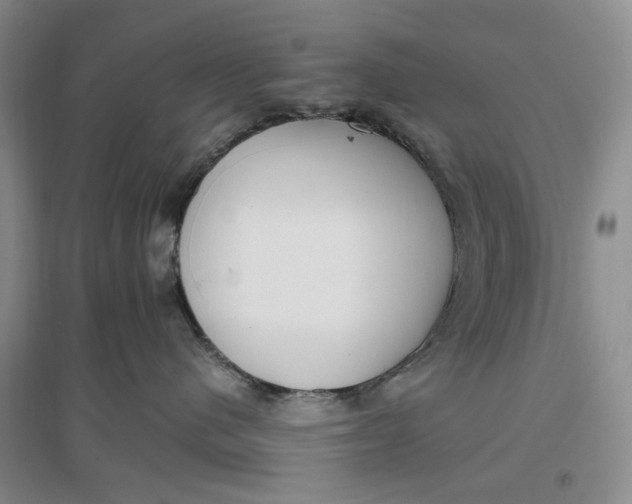 X0000096670480200802261457