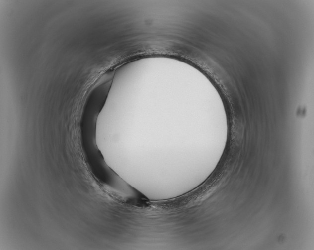 X0000096670481200802261456