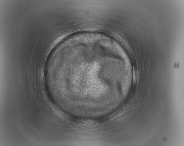 X0000096670483200802261456