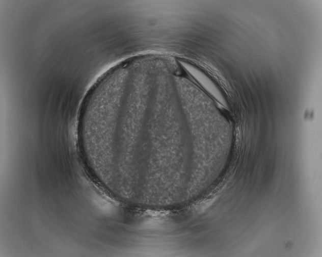 X0000096670484200802261456