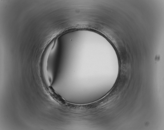 X0000096670485200802261456