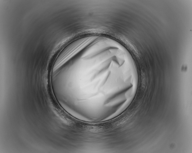 X0000096670486200802261456