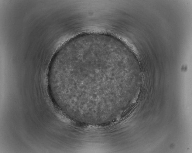 X0000096670487200802261456
