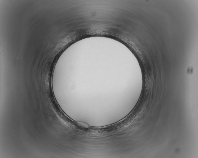 X0000096670489200802261456
