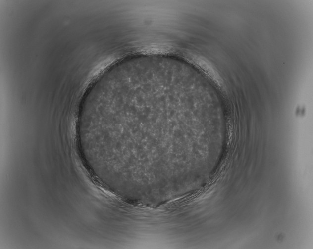 X0000096670491200802261456