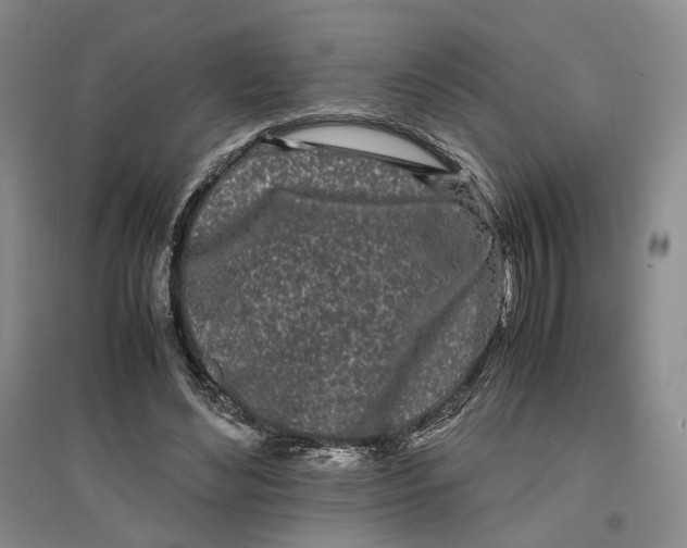 X0000096670492200802261456