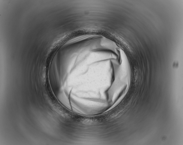 X0000096670494200802261456