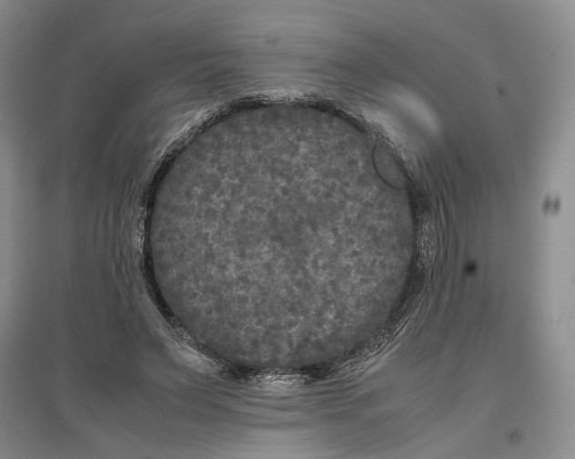X0000096670495200802261456