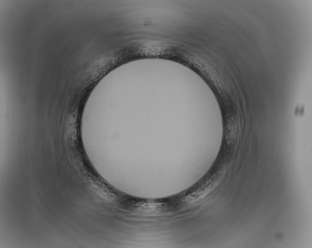 X0000096670497200802261456