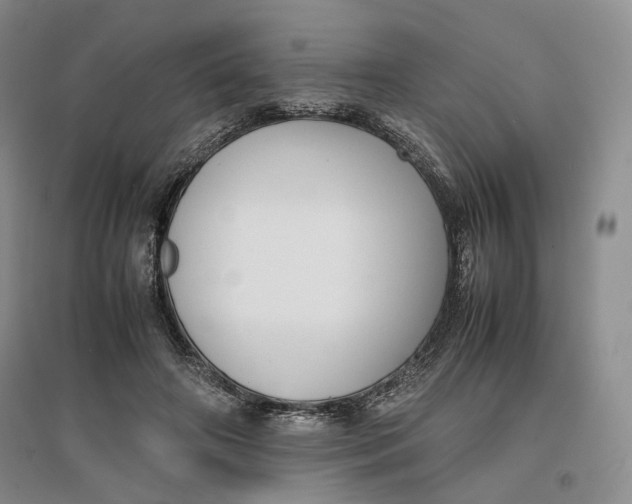 X0000096670498200802261456