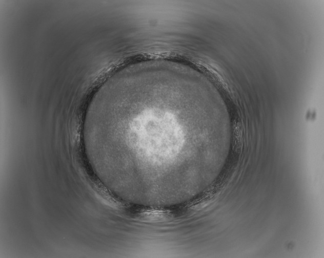 X0000096670499200802261456