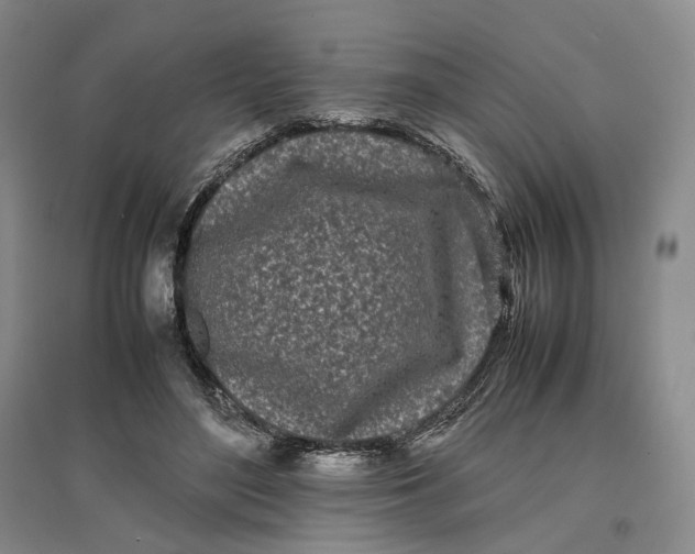 X0000096670500200802261456