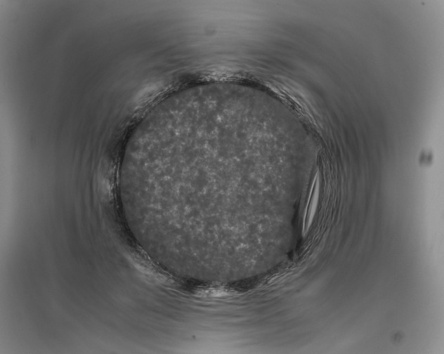 X0000096670503200802261456