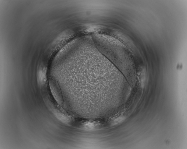X0000096670504200802261456