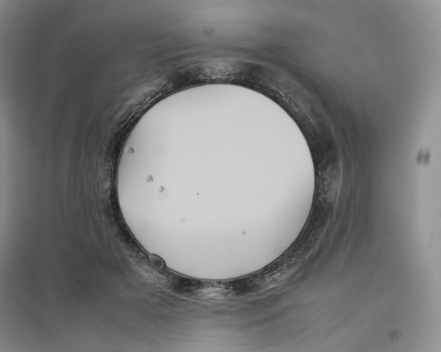 X0000096670505200802261456