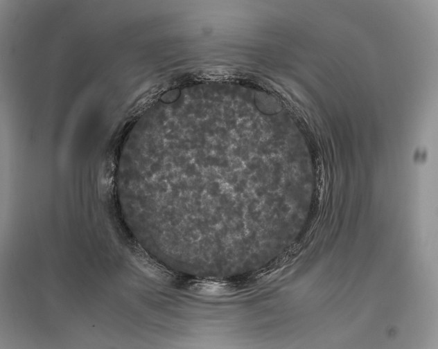 X0000096670507200802261456