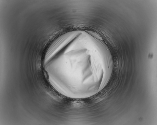 X0000096670508200802261455