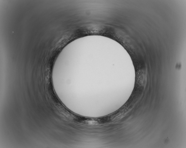 X0000096670509200802261455