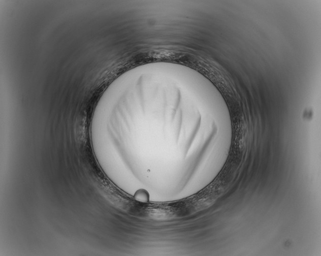 X0000096670510200802261455