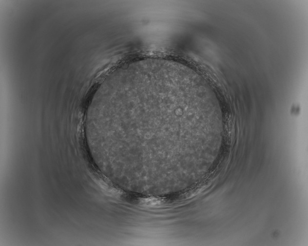 X0000096670511200802261455