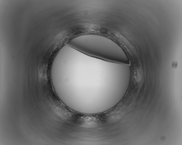 X0000096670512200802261455