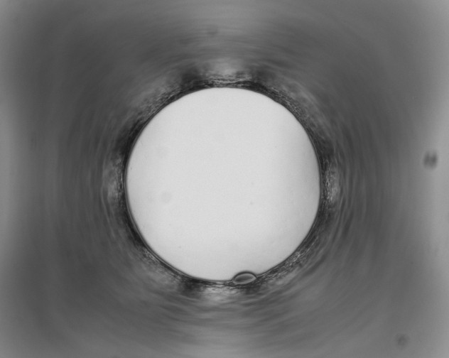 X0000096670515200802261455