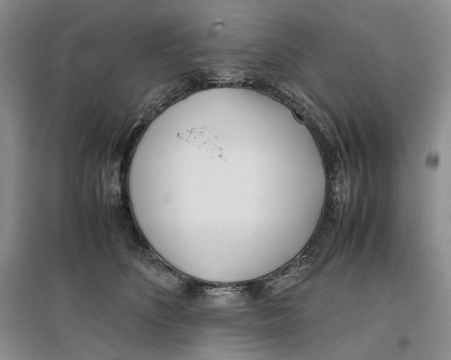 X0000096670516200802261455