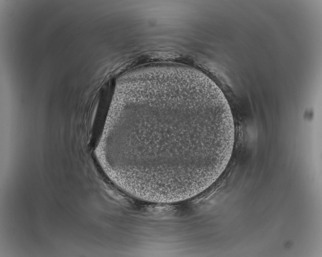 X0000096670517200802261455