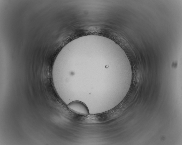 X0000096670518200802261455