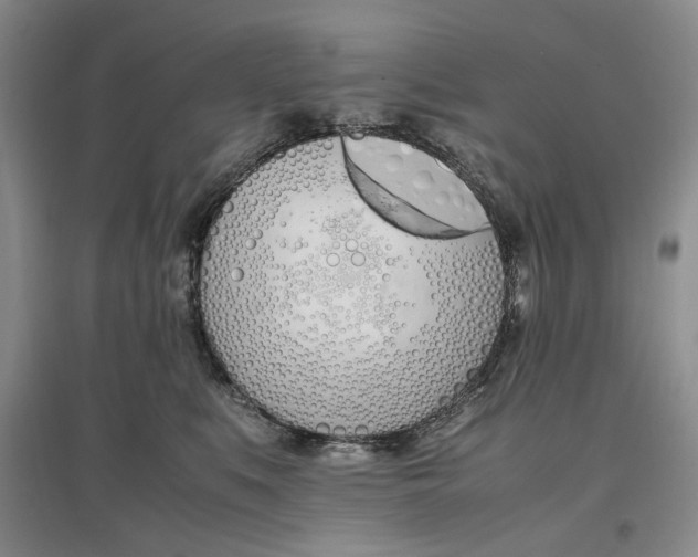 X0000096670519200802261455