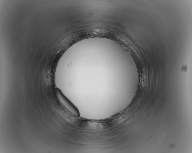 X0000096670520200802261455