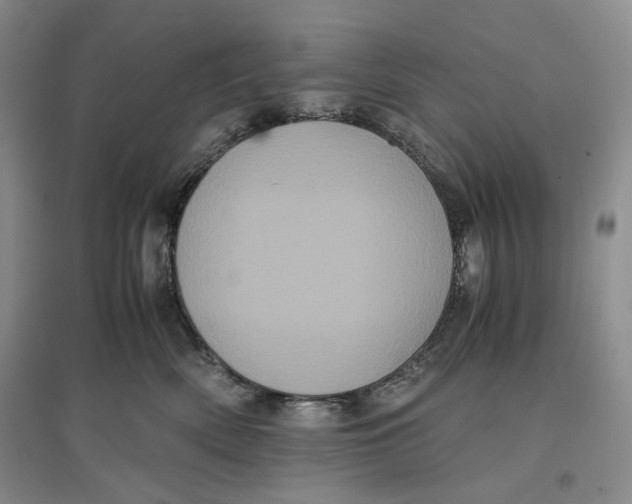 X0000096670522200802261455