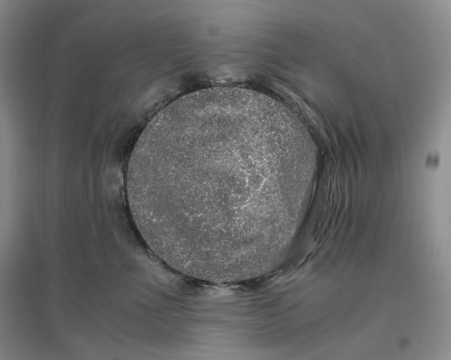 X0000096670523200802261455