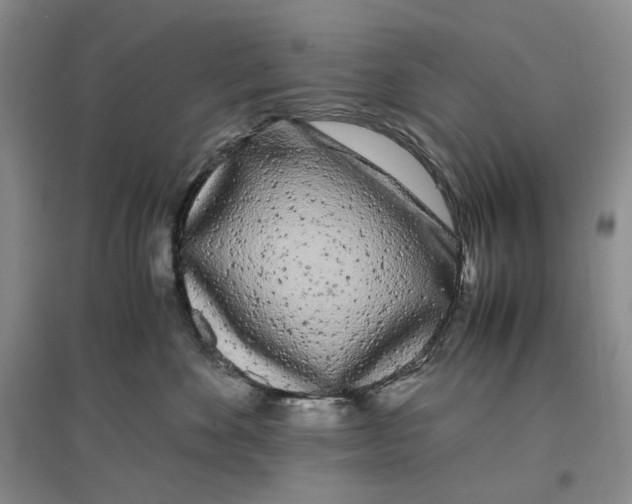 X0000096670524200802261455